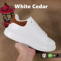 #Color17