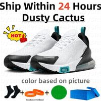 44 Dusty Cactus