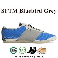 84 SFTM Bluebird Grey