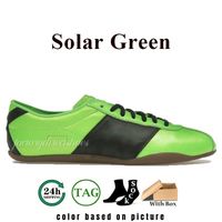 63 Solar Green
