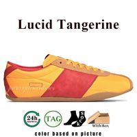 81 Lucid Tangerine