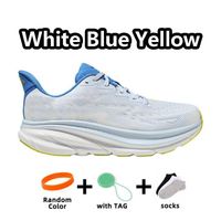 PowDerBlue
